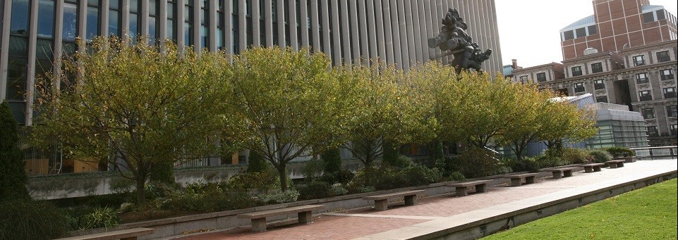 view of campus overlooking the law school building